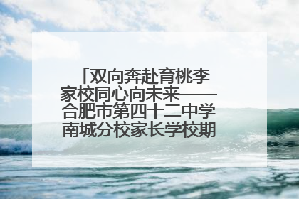 双向奔赴育桃李 家校同心向未来——合肥市第四十二中学南城分校家长学校期末总结会圆满召开