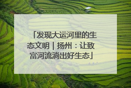 发现大运河里的生态文明｜扬州：让致富河流淌出好生态