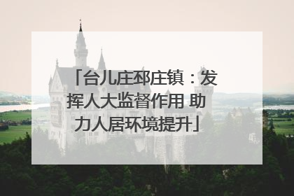 台儿庄邳庄镇：发挥人大监督作用 助力人居环境提升