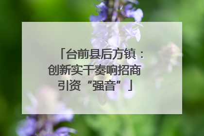 台前县后方镇：创新实干奏响招商引资“强音”