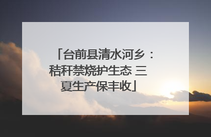 台前县清水河乡：秸秆禁烧护生态 三夏生产保丰收