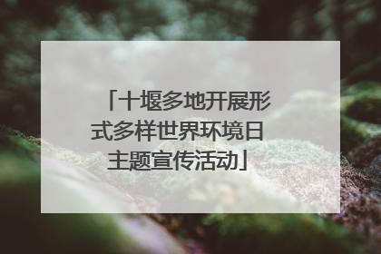 十堰多地开展形式多样世界环境日主题宣传活动