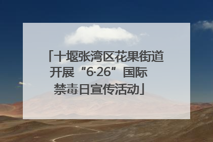 十堰张湾区花果街道开展“6·26”国际禁毒日宣传活动