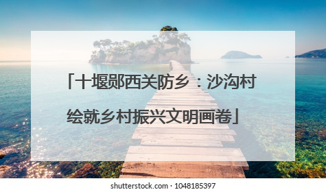 十堰郧西关防乡：沙沟村绘就乡村振兴文明画卷