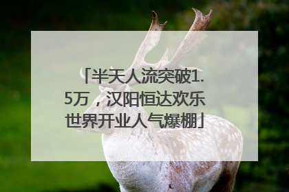 半天人流突破1.5万，汉阳恒达欢乐世界开业人气爆棚