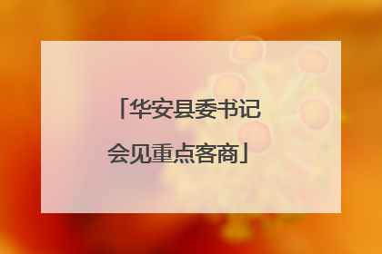 华安县委书记会见重点客商