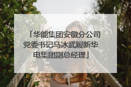 华能集团安徽分公司党委书记马冰武履新华电集团副总经理