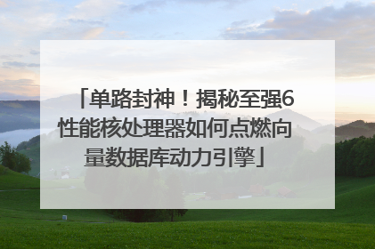 单路封神！揭秘至强6性能核处理器如何点燃向量数据库动力引擎