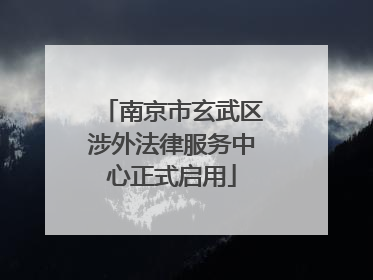南京市玄武区涉外法律服务中心正式启用