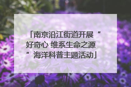 南京沿江街道开展“好奇心 维系生命之源”海洋科普主题活动