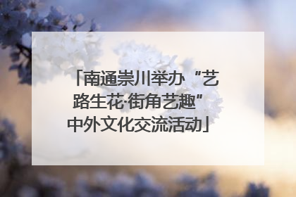 南通崇川举办“艺路生花·街角艺趣”中外文化交流活动