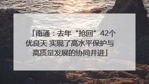 南通：去年“抢回”42个优良天 实现了高水平保护与高质量发展的协同并进