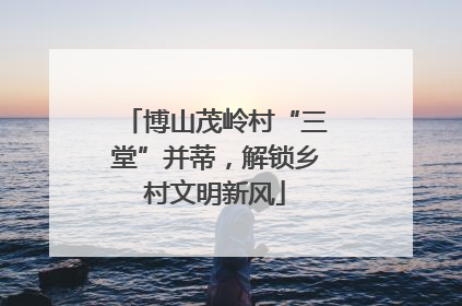 博山茂岭村“三堂”并蒂，解锁乡村文明新风