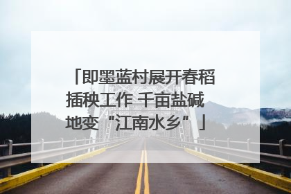 即墨蓝村展开春稻插秧工作 千亩盐碱地变“江南水乡”