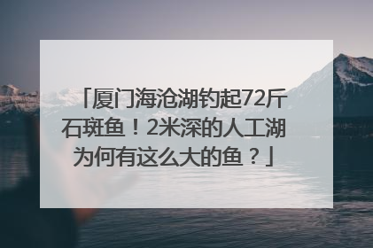 厦门海沧湖钓起72斤石斑鱼！2米深的人工湖为何有这么大的鱼？