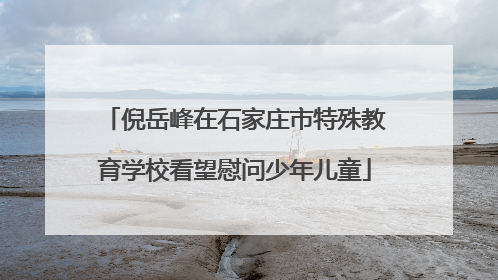 倪岳峰在石家庄市特殊教育学校看望慰问少年儿童