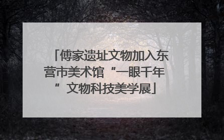 傅家遗址文物加入东营市美术馆“一眼千年”文物科技美学展