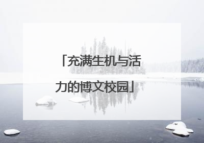 充满生机与活力的博文校园
