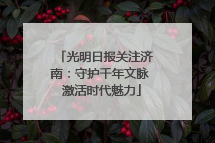 光明日报关注济南：守护千年文脉 激活时代魅力