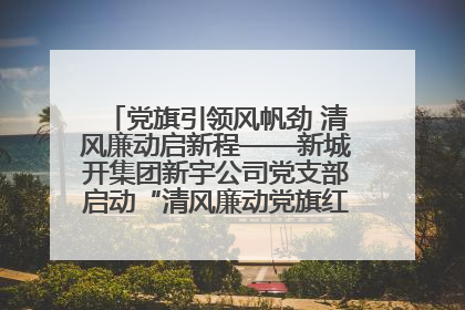 党旗引领风帆劲 清风廉动启新程——新城开集团新宇公司党支部启动“清风廉动党旗红”系列活动
