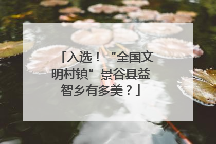 入选！“全国文明村镇”景谷县益智乡有多美？