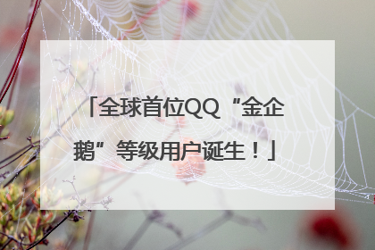 全球首位QQ“金企鹅”等级用户诞生！