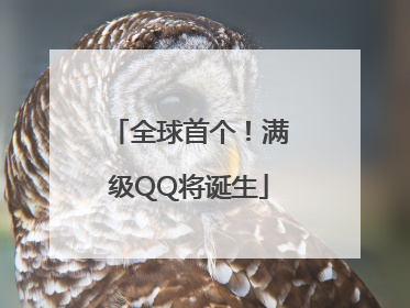 全球首个！满级QQ将诞生