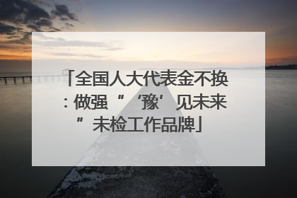 全国人大代表金不换：做强“‘豫’见未来”未检工作品牌