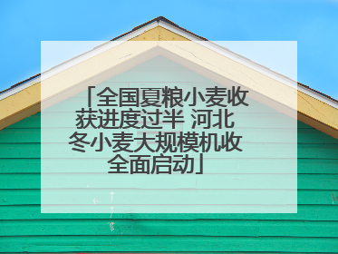 全国夏粮小麦收获进度过半 河北冬小麦大规模机收全面启动