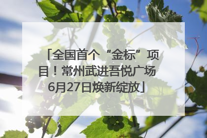 全国首个“金标”项目！常州武进吾悦广场6月27日焕新绽放