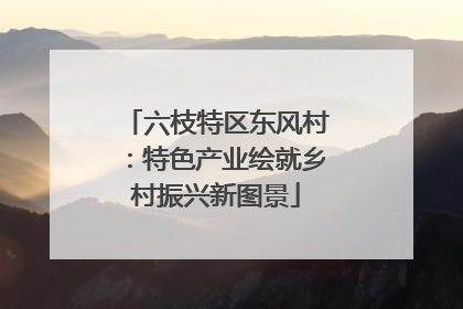 六枝特区东风村：特色产业绘就乡村振兴新图景