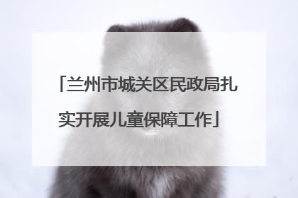 兰州市城关区民政局扎实开展儿童保障工作