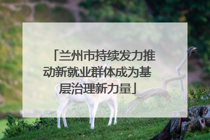 兰州市持续发力推动新就业群体成为基层治理新力量