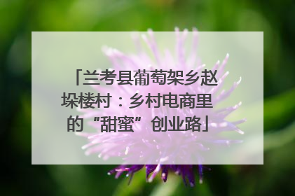 兰考县葡萄架乡赵垛楼村：乡村电商里的“甜蜜”创业路