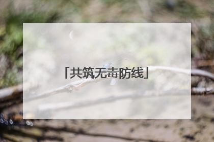 共筑无毒防线