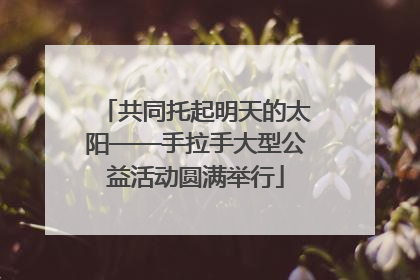 共同托起明天的太阳——手拉手大型公益活动圆满举行