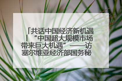 共话中国经济新机遇丨“中国超大规模市场带来巨大机遇”——访塞尔维亚经济部国务秘书尼科利奇