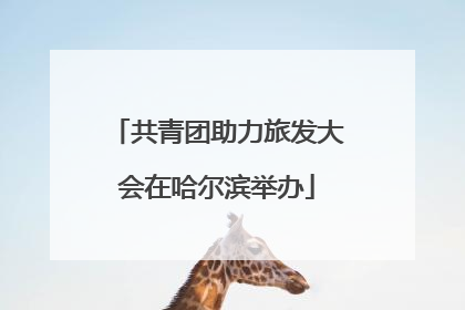 共青团助力旅发大会在哈尔滨举办