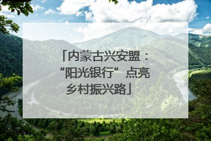 内蒙古兴安盟：“阳光银行”点亮乡村振兴路