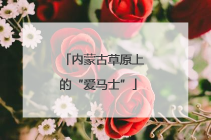 内蒙古草原上的“爱马士”
