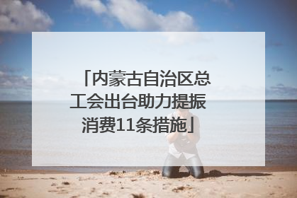 内蒙古自治区总工会出台助力提振消费11条措施