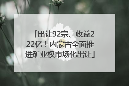 出让92宗、收益222亿！内蒙古全面推进矿业权市场化出让