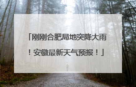 刚刚合肥局地突降大雨！安徽最新天气预报！