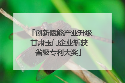 创新赋能产业升级 甘肃玉门企业斩获省级专利大奖
