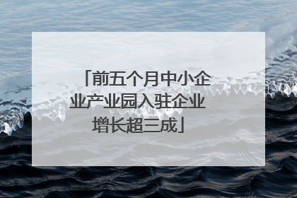 前五个月中小企业产业园入驻企业增长超三成