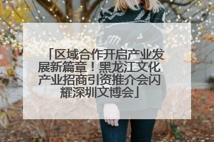 区域合作开启产业发展新篇章！黑龙江文化产业招商引资推介会闪耀深圳文博会