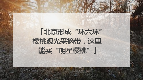 北京形成“环六环”樱桃观光采摘带，这里能买“明星樱桃”