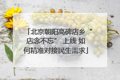 北京朝阳高碑店乡“店念不忘” 上线 如何精准对接民生需求