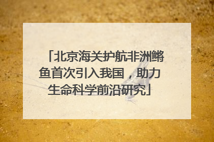 北京海关护航非洲鳉鱼首次引入我国，助力生命科学前沿研究