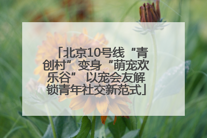 北京10号线“青创村”变身“萌宠欢乐谷” 以宠会友解锁青年社交新范式